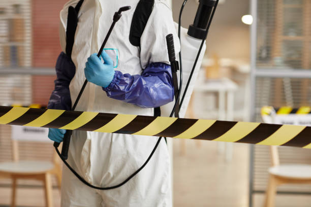 Professional Biohazard technician working in Forest Falls, CA